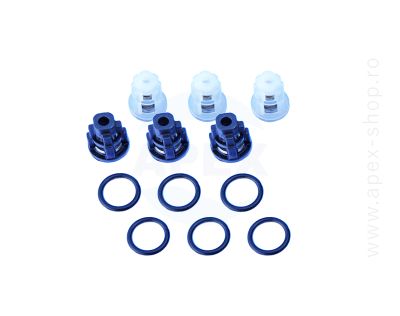 KIT 309 Interpump